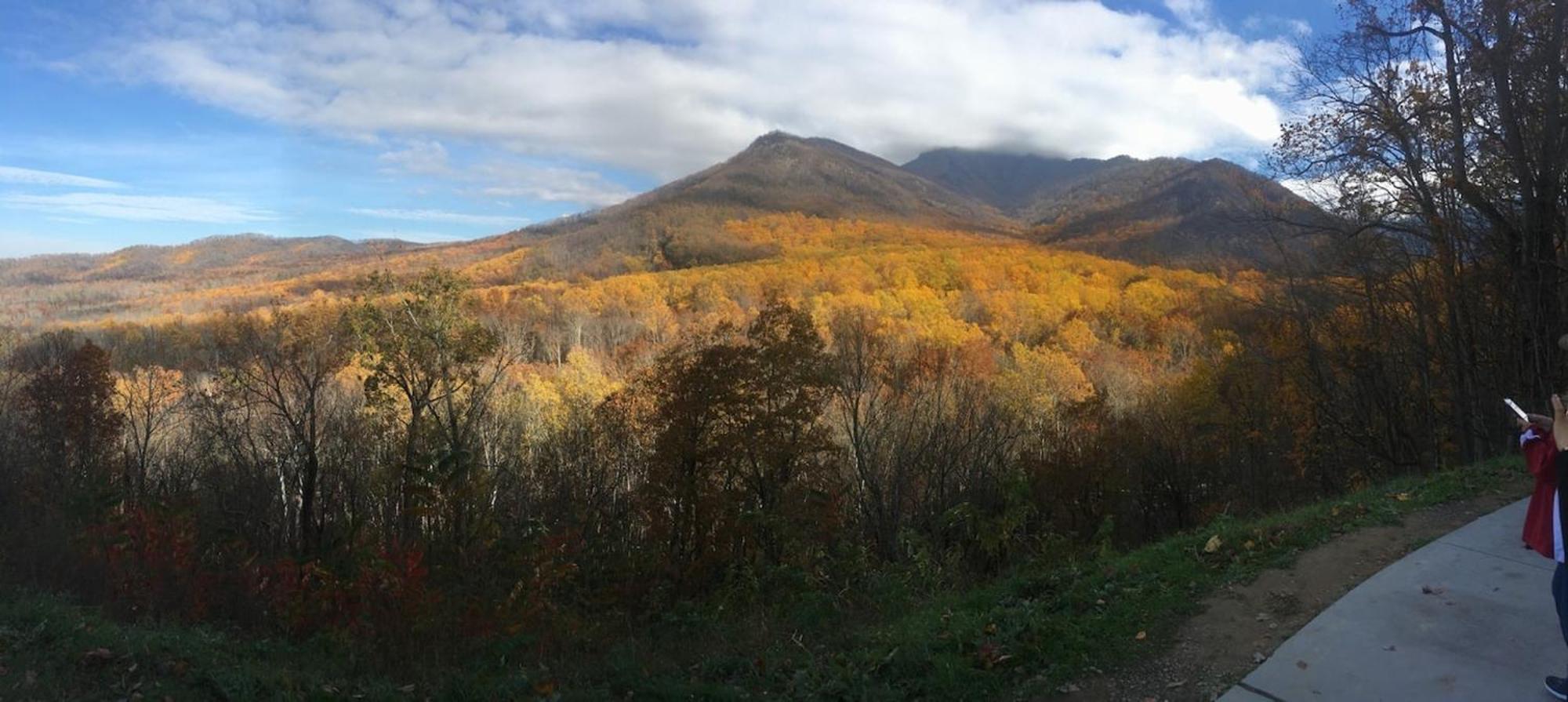Serene Mountain And Sunset Views 3Bd Cabin Franklin Exterior photo